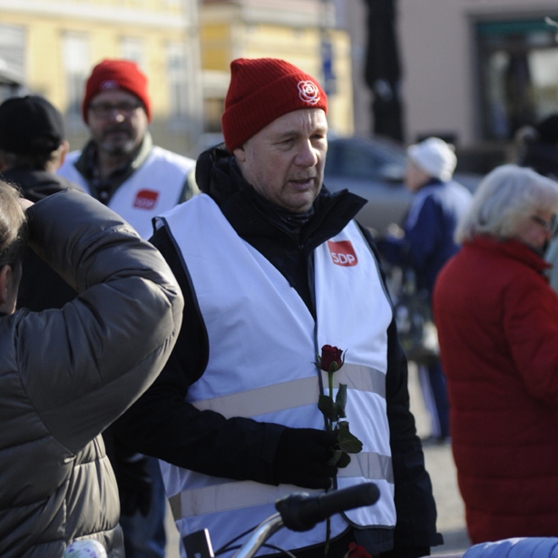 SDP arvot