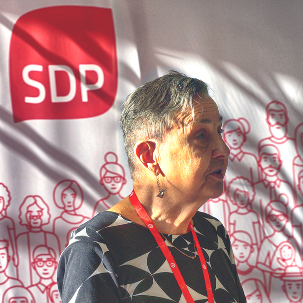 SDP arvot